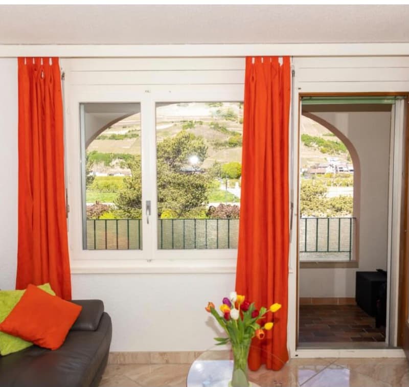 Studio meublé rénové avec terrasse – Saillon-les-Bains (3)