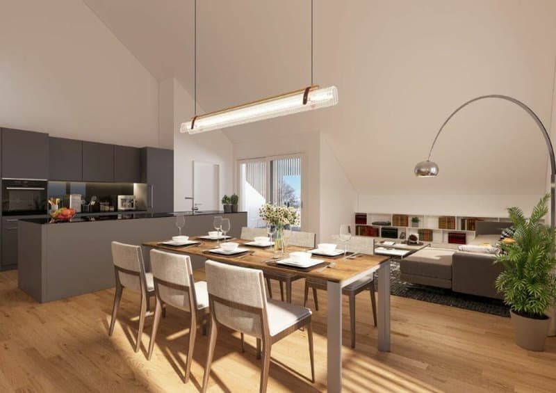 Dernier appartement!! Nouveau bâtiment Wiesental, Hallau (5)