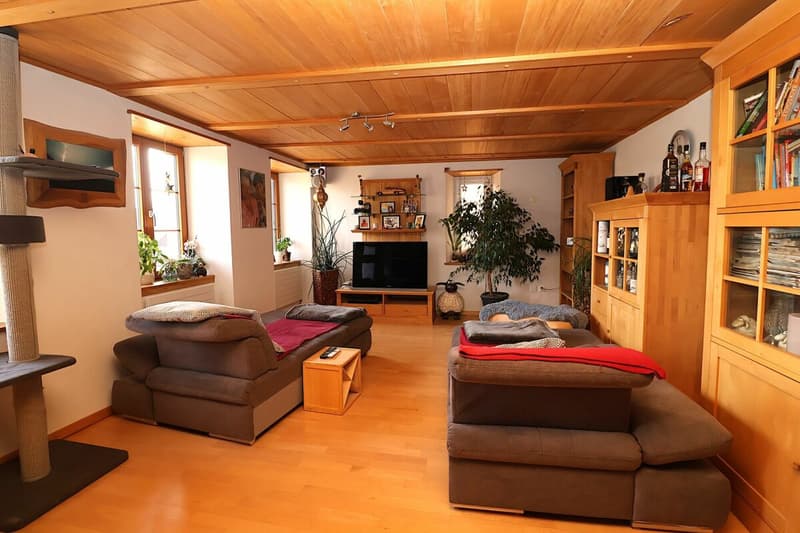 Vielseitiges 6-Zimmer-Haus mit Ausbaupotenzial (2)