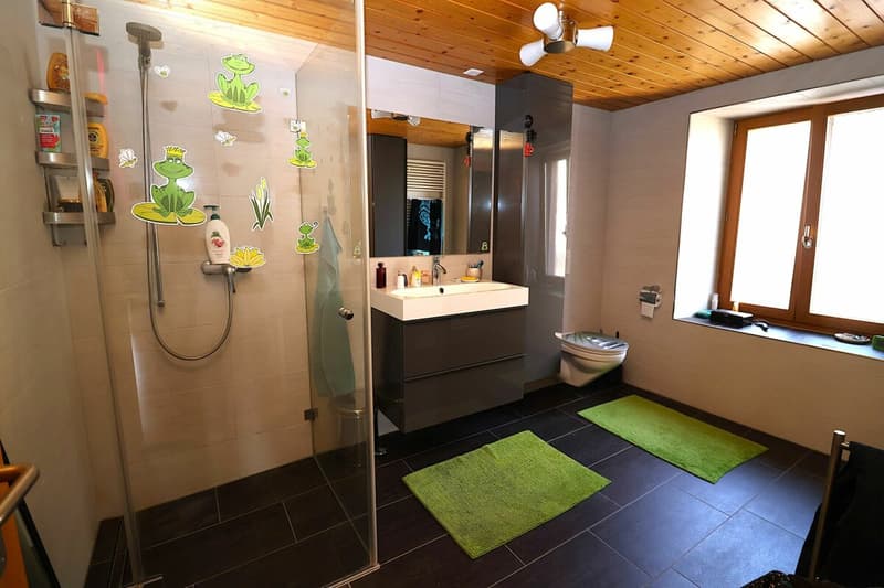 Vielseitiges 6-Zimmer-Haus mit Ausbaupotenzial (8)