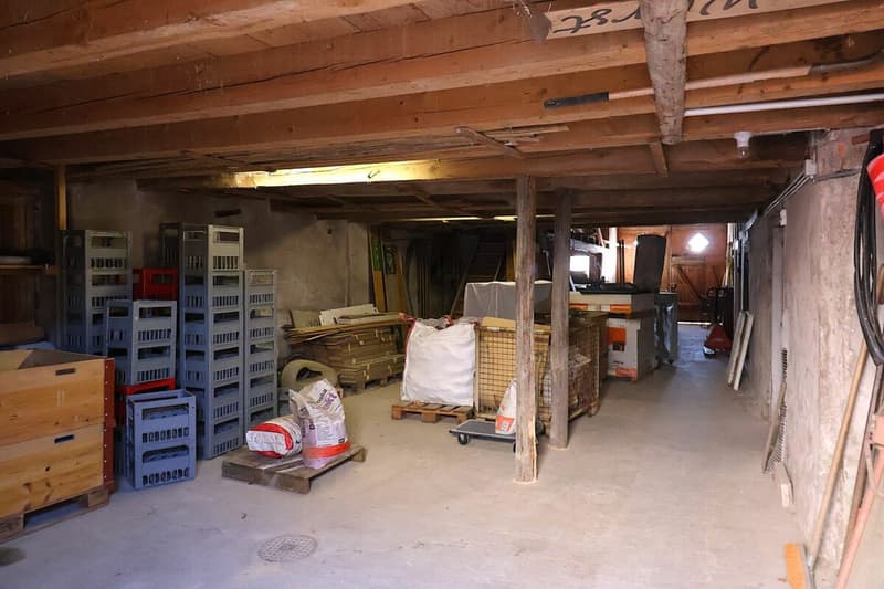 Vielseitiges 6-Zimmer-Haus mit Ausbaupotenzial (13)