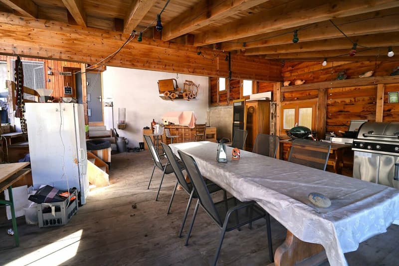 Vielseitiges 6-Zimmer-Haus mit Ausbaupotenzial (10)