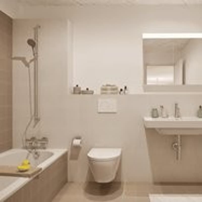 Première location : atelier directement sur l'Aare ! (6)