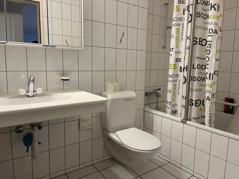 First net rent free  start your new housing happiness! (6)