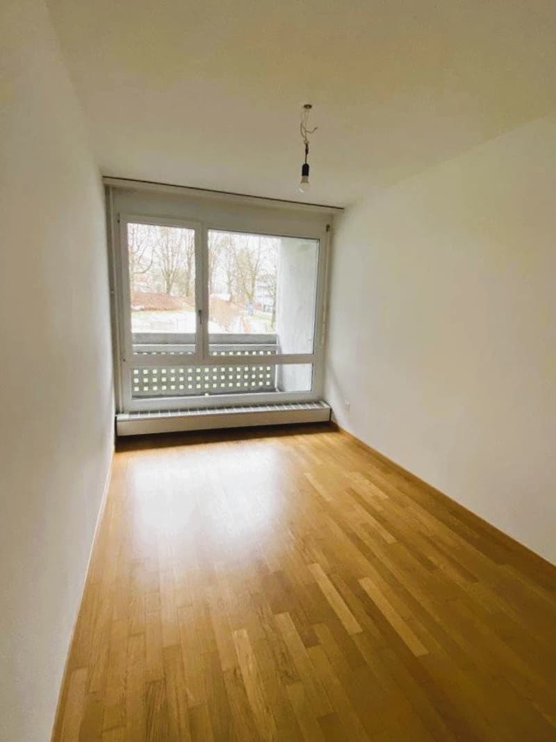 Zimmer-Längfeld