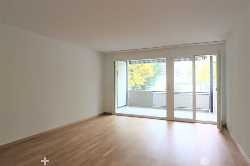 IMG_3138 - Copie