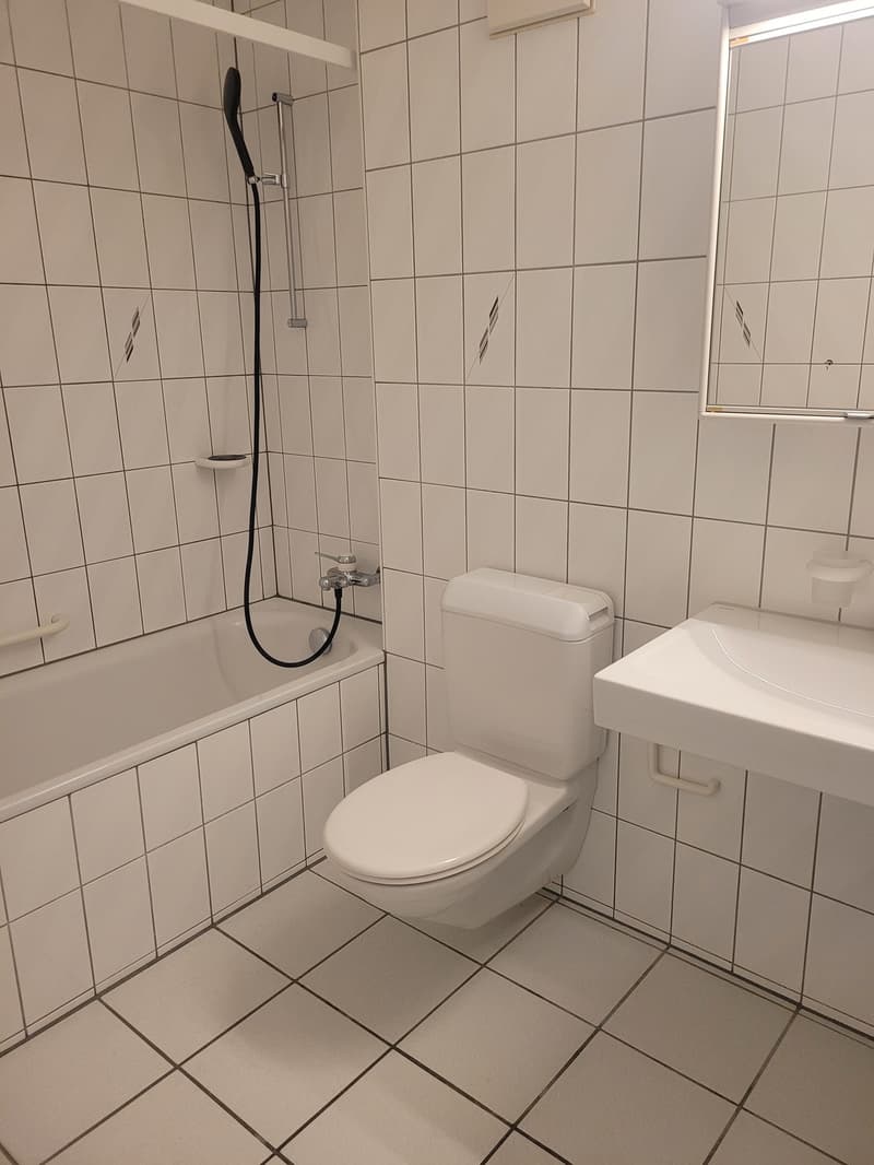 Erster Nettomietzins geschenkt starten Sie ins neue Wohnglück! (5)