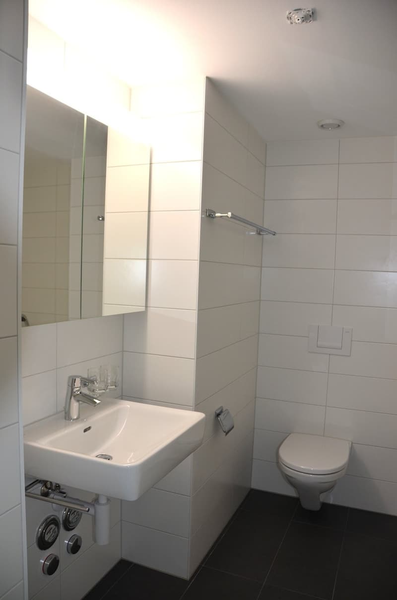 Brünnli_WC_hoch