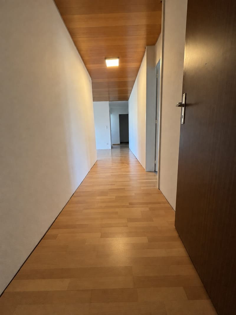 Grosszügige 4.5-Zimmer-Wohnung mit Balkon und Bergblick in Thun (5)