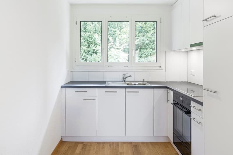 Küche_Aarhaldenstasse24