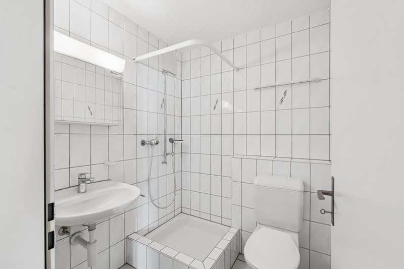 Willkommen im neuen Zuhause (4)