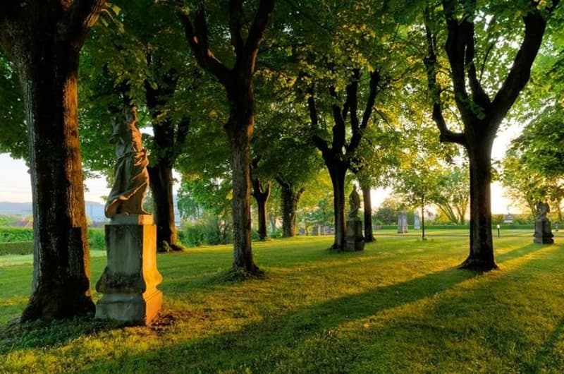 Park