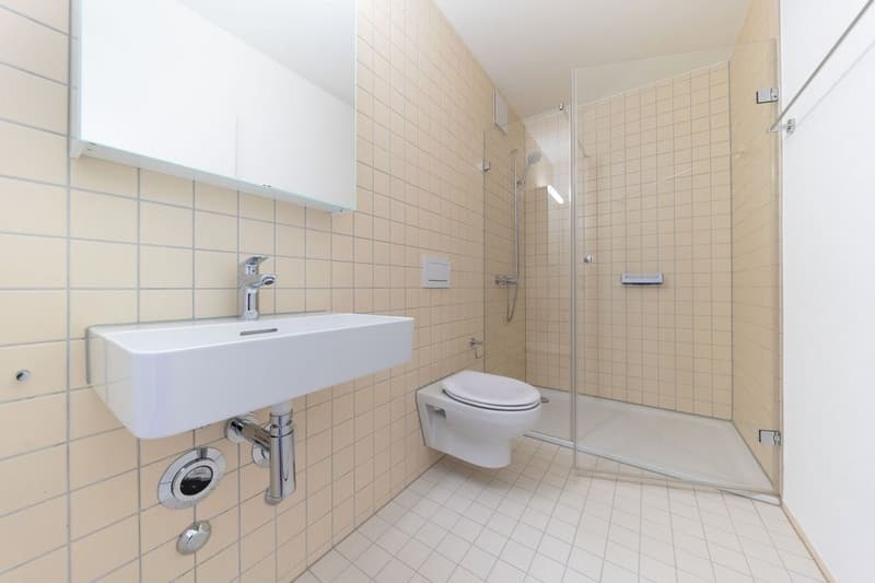 DU/WC