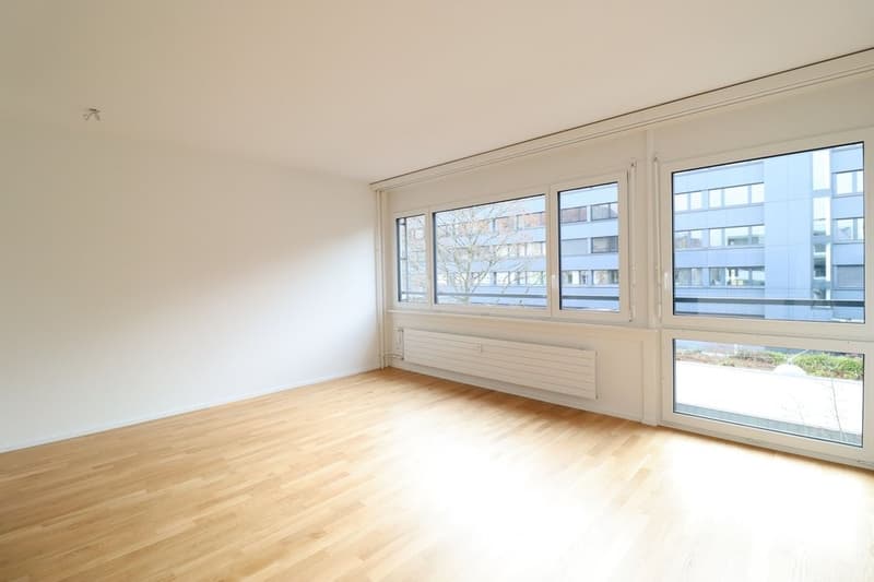 Fensterfront_neu.JPG