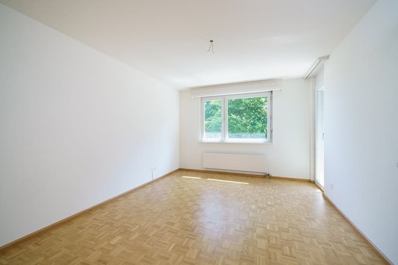 Zimmer2