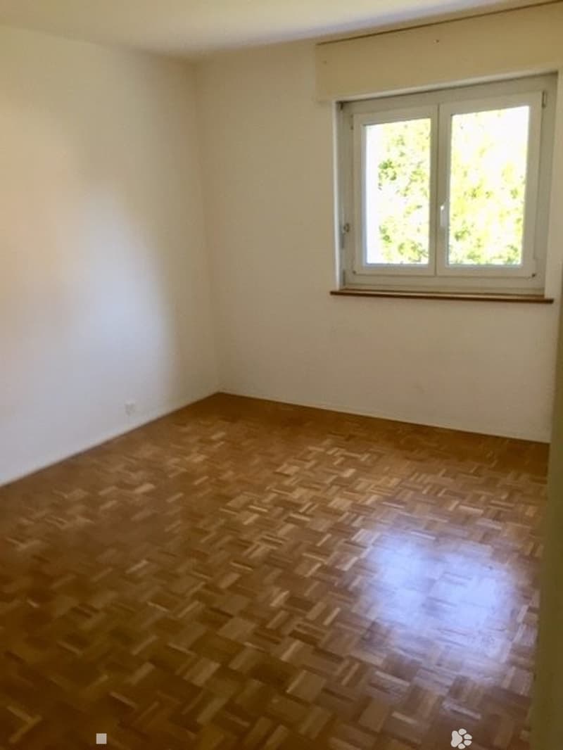 21246.1013.SZ