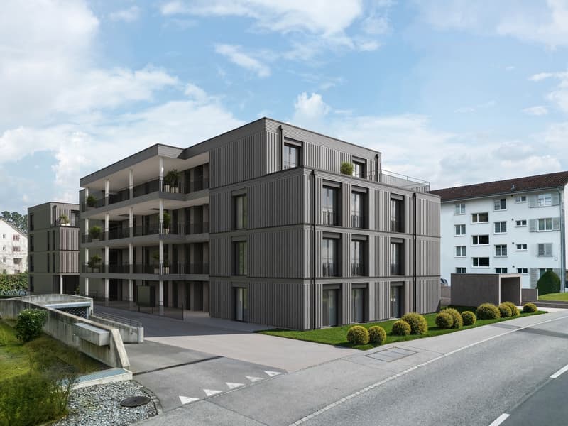 Letzte Wohnung: 3.5-Zimmerwohnung im Kräuchi-Areal (1)
