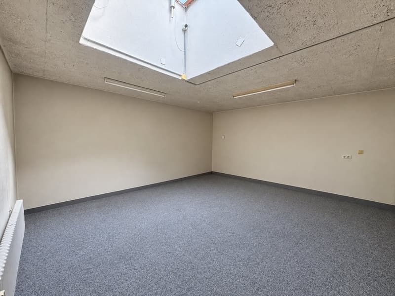 Grosszügiger Raum für Ideen in Stadtnähe (4)