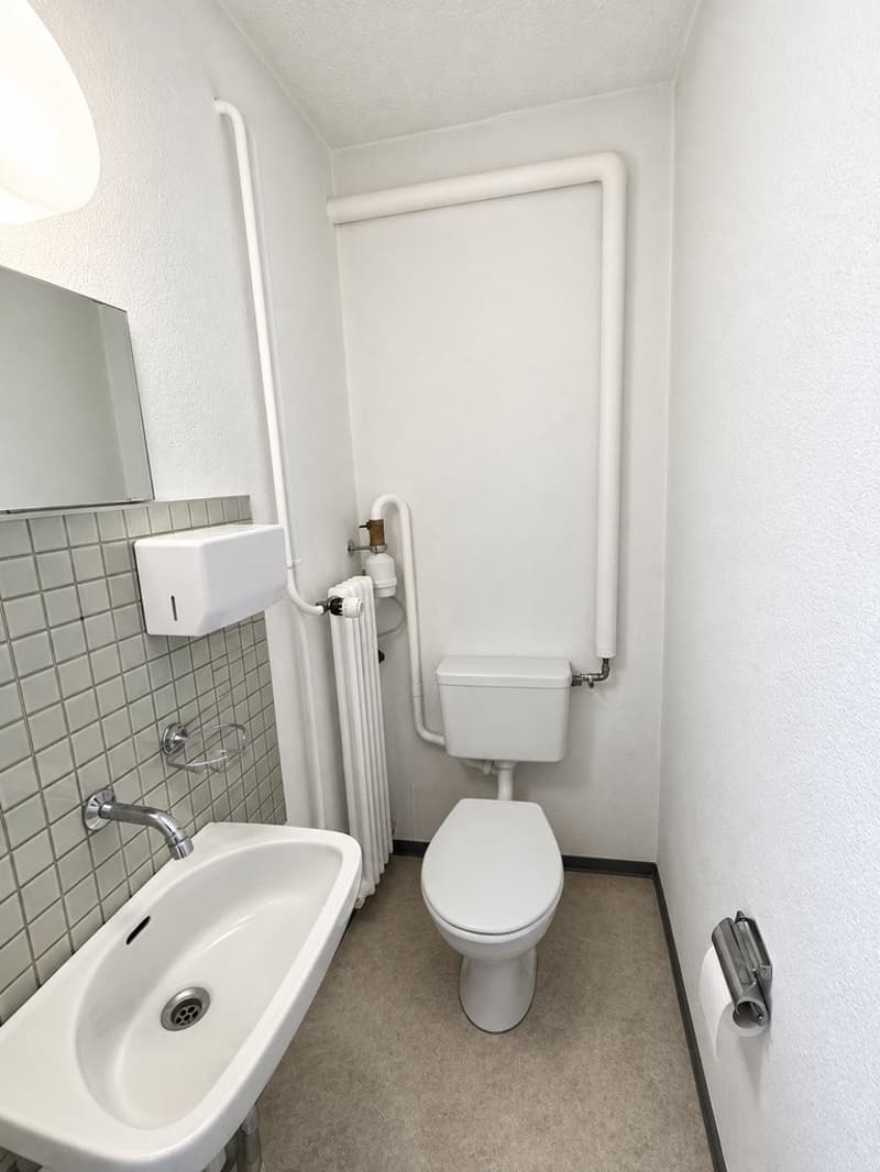 Grosszügiger Raum für Ideen in Stadtnähe (6)