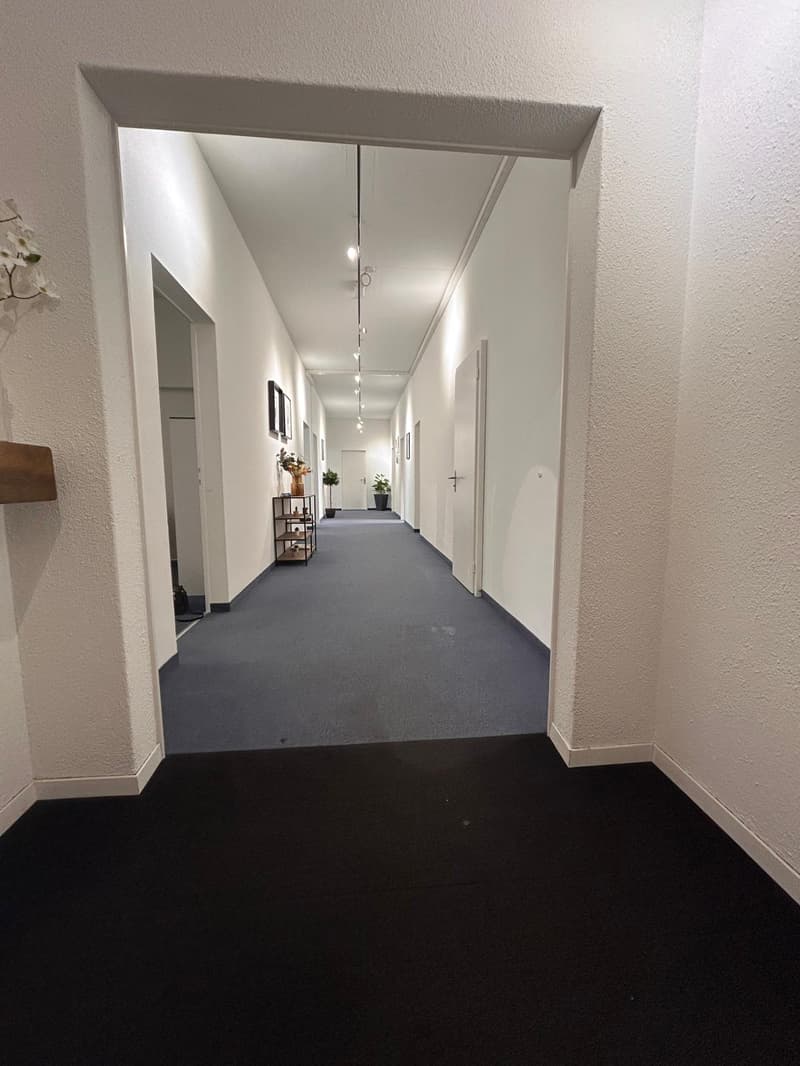 Long hallway with blue carpet, white walls, ceiling lights, small wooden shelf, two potted plants, picture frames