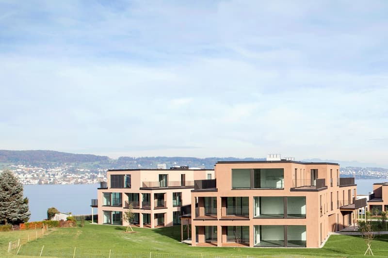 3.5-room attic apartment with breathtaking lake and mountain views (1)