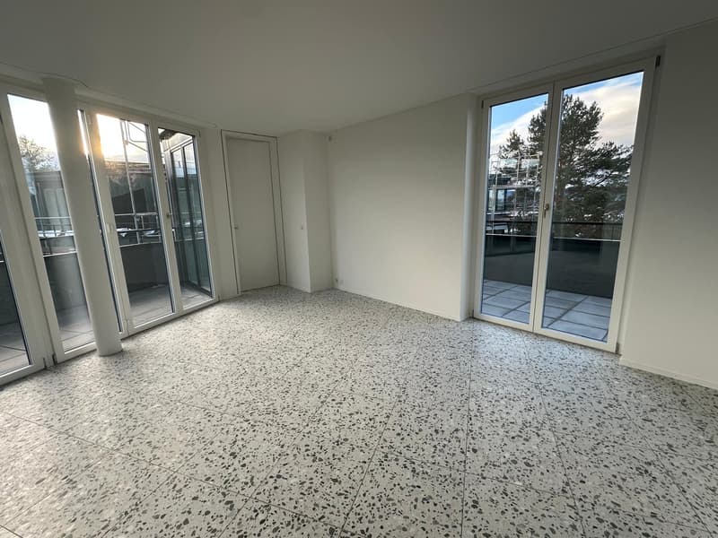 Vermietung Neubau: 3.5-Zimmer-Wohnungen im Wohnpark Buchholzstrasse (7)