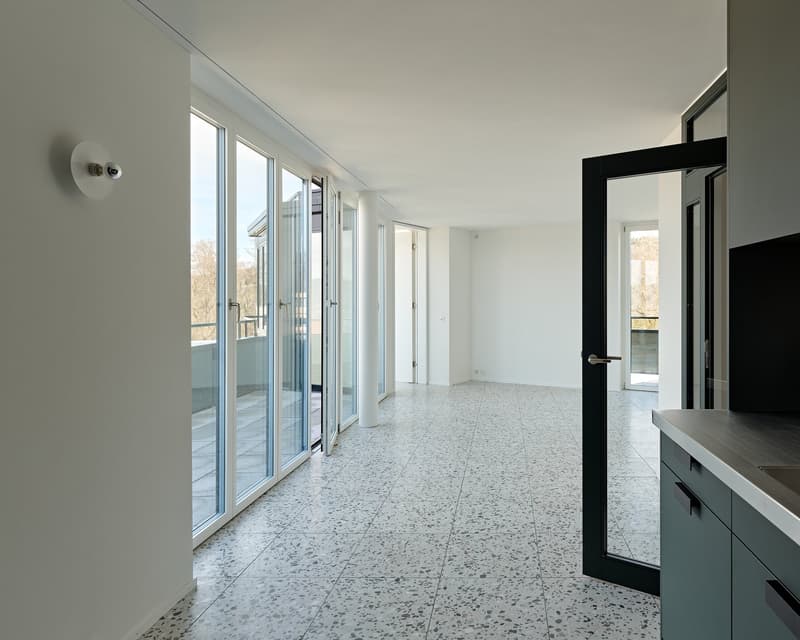 Moderne 3.5-Zimmer-Wohnung mit traumhafter Alpen- und Seesicht (4)