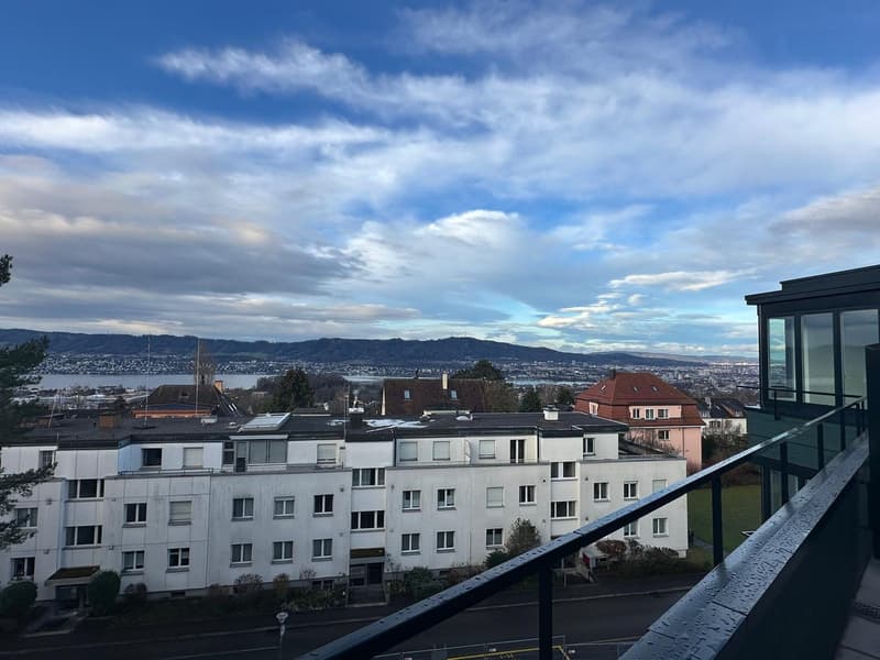 Vermietung Neubau: 3.5-Zimmer-Wohnungen im Wohnpark Buchholzstrasse (3)