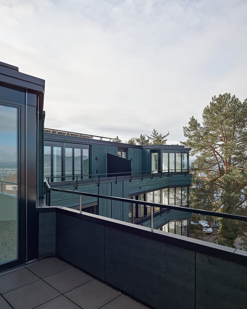 Moderne 3.5-Zimmer-Wohnung mit traumhafter Alpen- und Seesicht (2)