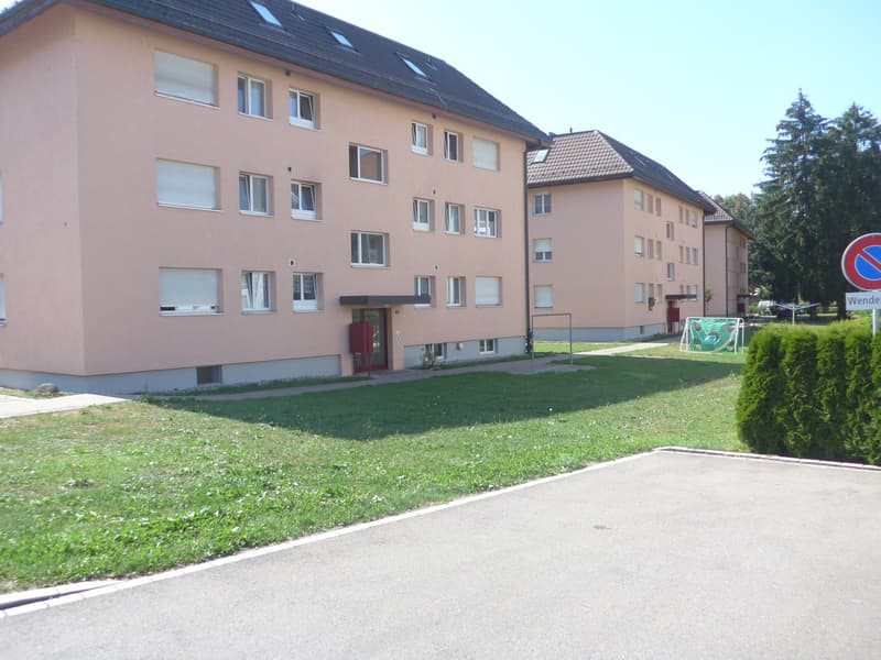 Praktische 4-Zimmerwohnung in gepflegter Überbauung (2)