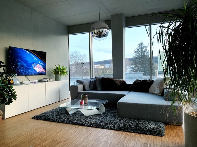 Moderne Loft-Wohnung mit Aussicht (1)