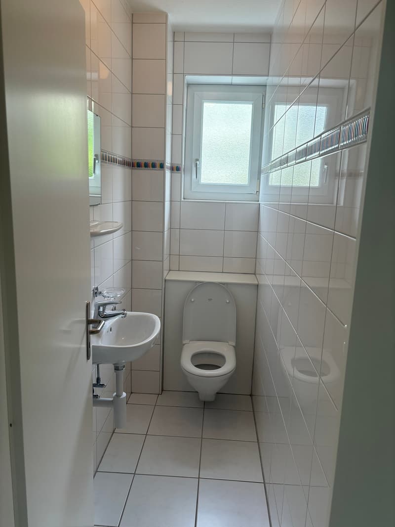 2.5-Zimmerwohnung an ruhiger Lage im Zollikerberg (9)