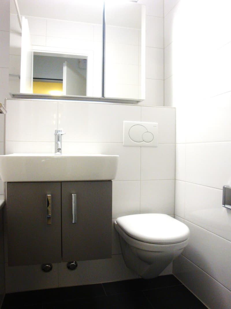 Ruhiggelegene, moderne Wohnung mit Gartensitzplatz (5)