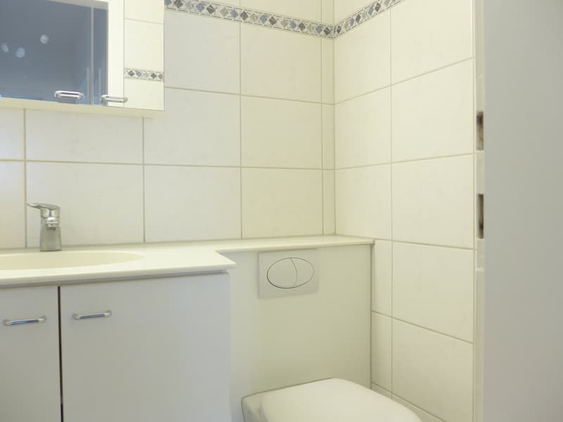 Helle 4.5-Zimmer-Wohnung mit Balkon in Zollikerberg (13)