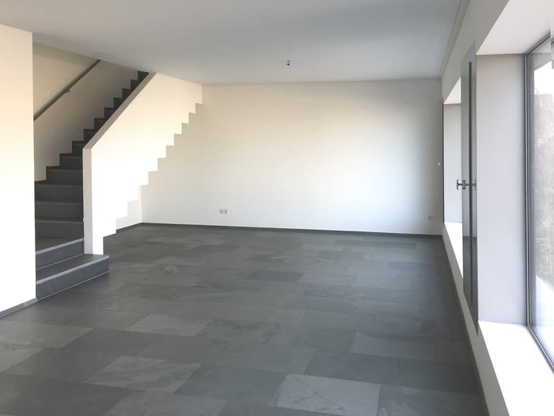 Moderne Duplexwohnung mit zwei offenen Loggias (3)