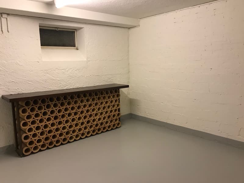Charmantes 5.5-Zimmer-Zweifamilienhaus mit Garten im beliebten Triemliquartier (9)