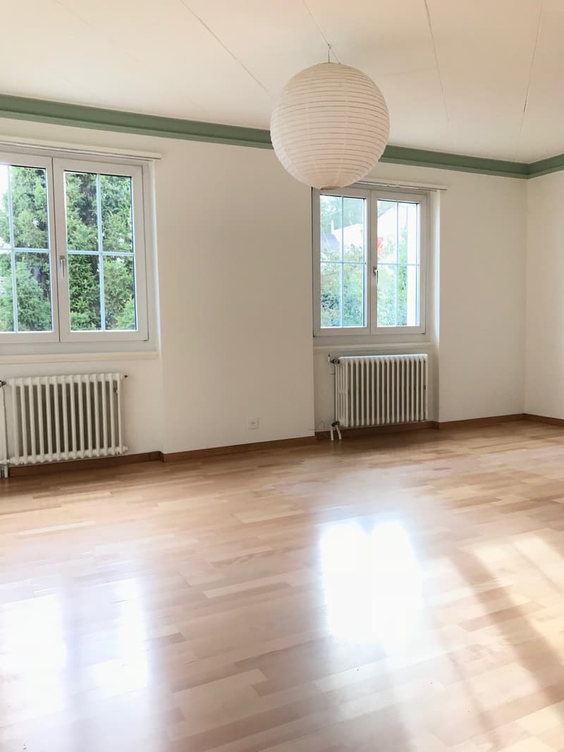 Charmantes 5.5-Zimmer-Zweifamilienhaus mit Garten im beliebten Triemliquartier (3)