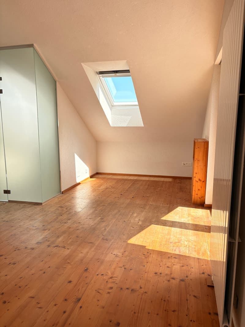 Charmantes 5.5-Zimmer-Zweifamilienhaus mit Garten im beliebten Triemliquartier (5)