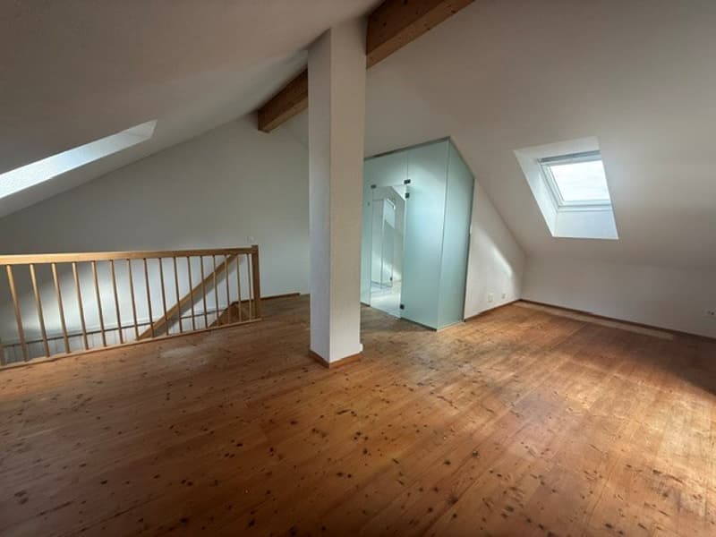 Charmantes 5.5-Zimmer-Zweifamilienhaus mit Garten im beliebten Triemliquartier (4)