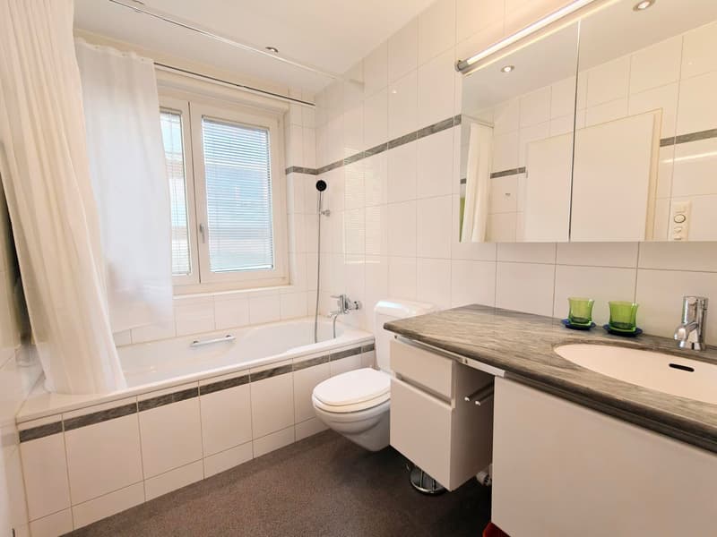 Möblierte 2.5-Zimmer-Attikawohnung mit traumhafter Terrasse (6)