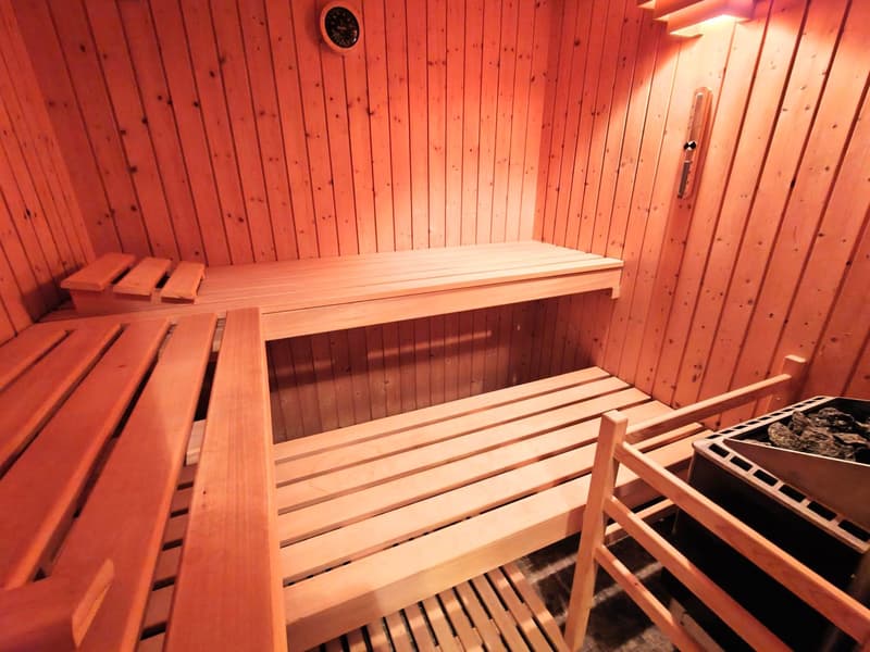 Möblierte 2.5-Zimmer-Attikawohnung mit traumhafter Terrasse (5)