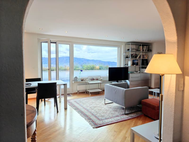 Möblierte 2.5-Zimmer-Attikawohnung mit traumhafter Terrasse (3)
