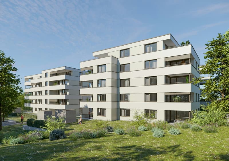 Modernes Wohnen, naturnah erleben: 4 1/2-Zimmer-Neubauwohnungen in Wald ZH (1)