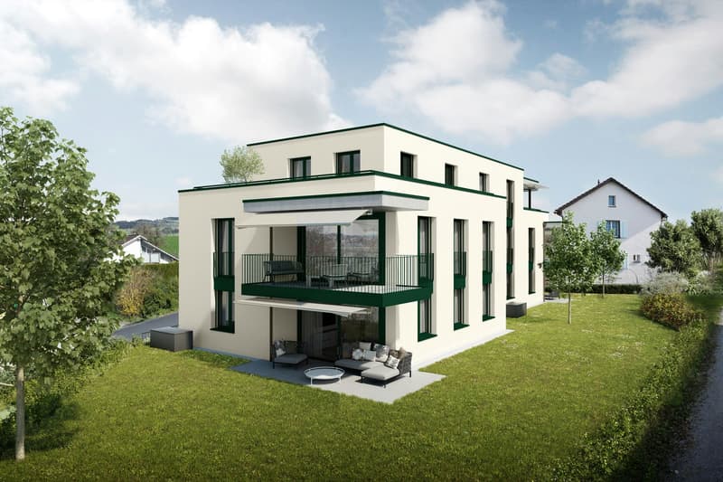 3.5-Zimmerwohnungen - Neubauprojekt in Wetzikon mit 5 Wohnungen (1)