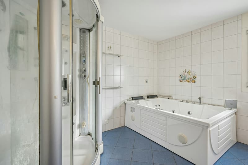 5.5-Zimmer-Einfamilienhaus an erhöhter und begehrter Lage mit Umschwung (13)