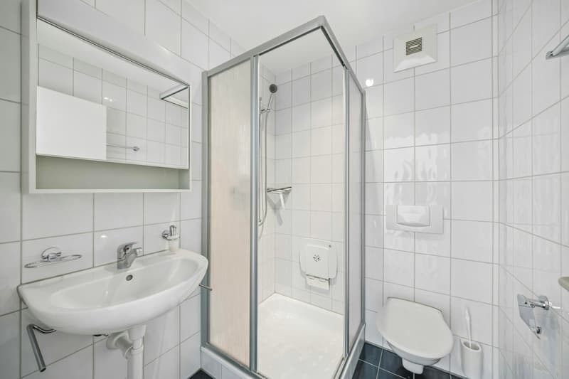 Grosszügige 3½-Zimmer-Eigentumswohnung mit verglastem Balkon und schöner Weitsicht (9)