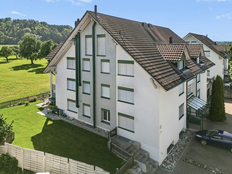 4½-Zimmer-Eigentumswohnung mit unverbaubarer Weitsicht und Hobbyraum (12)