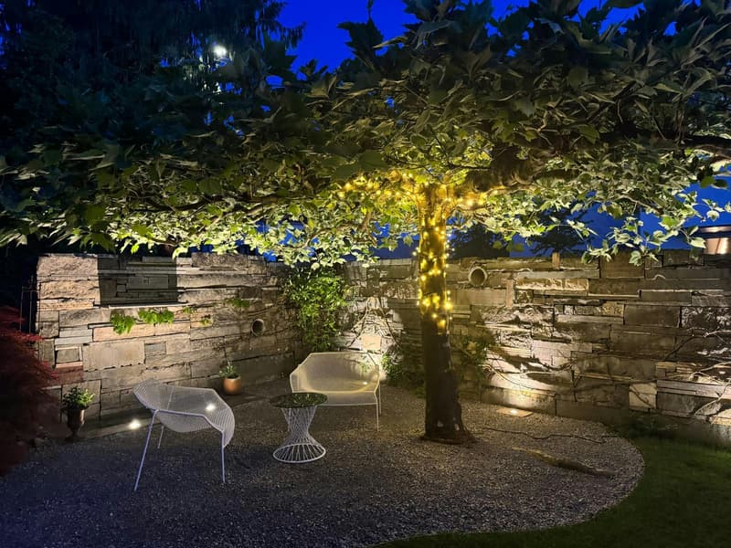 Exklusives 6½-Zimmer-Einfamilienhaus an ruhiger Lage mit grossem Garten (5)
