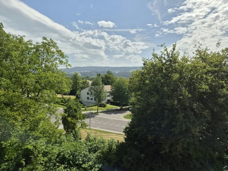 Erstvermietung in Uster - grosszügige 3½-Zimmerwohnungen an attraktiver Lage (3)