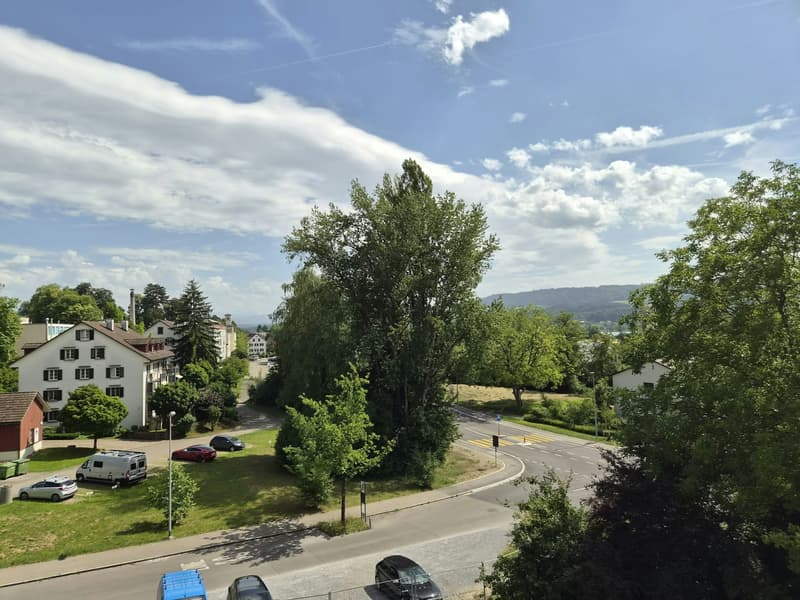 Erstvermietung in Uster - moderne 4½-Zimmerwohnungen für hohe Wohnansprüche (4)